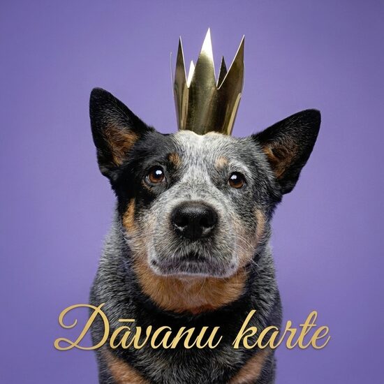 Dāvanu karte fotosesijai